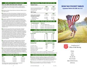 Pocket Tax Guide: Girl with Flag